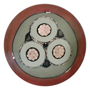 火力發(fā)電廠發(fā)電機(jī)定子的定子絕緣測量分析_no.142